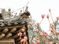 -红螺寺