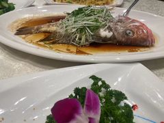 -大东海海鲜酒楼(渔人码头总店)