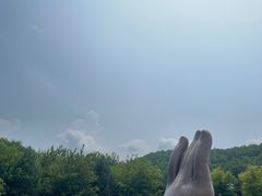 -六鼎山文化旅游区