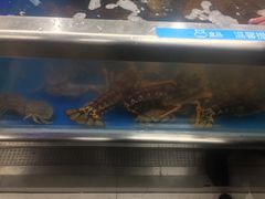 -盒马鲜生(大成店)