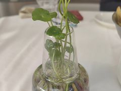 -枕水江南(铁西万象汇店)