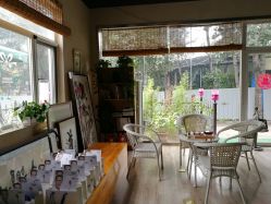 -一花一叶瑜伽生活馆