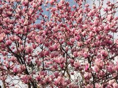 -重庆中央公园(渝北区)