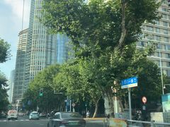 -陕西大厦中餐厅(陕西驻沪办店)