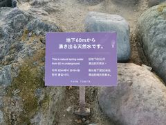 -富田农场