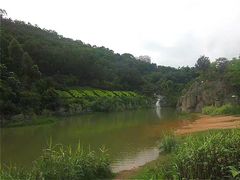 -深圳国际园林花卉博览园