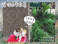 -巴金故居