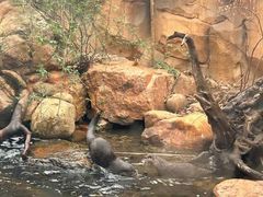 -祥源·阜阳生态乐园