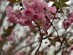 -云里小坐·海泉湾·团建·宴席·下午茶(金堂海泉湾店)