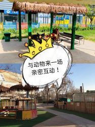 -萌宠亲子动物乐园(槐房万达店)