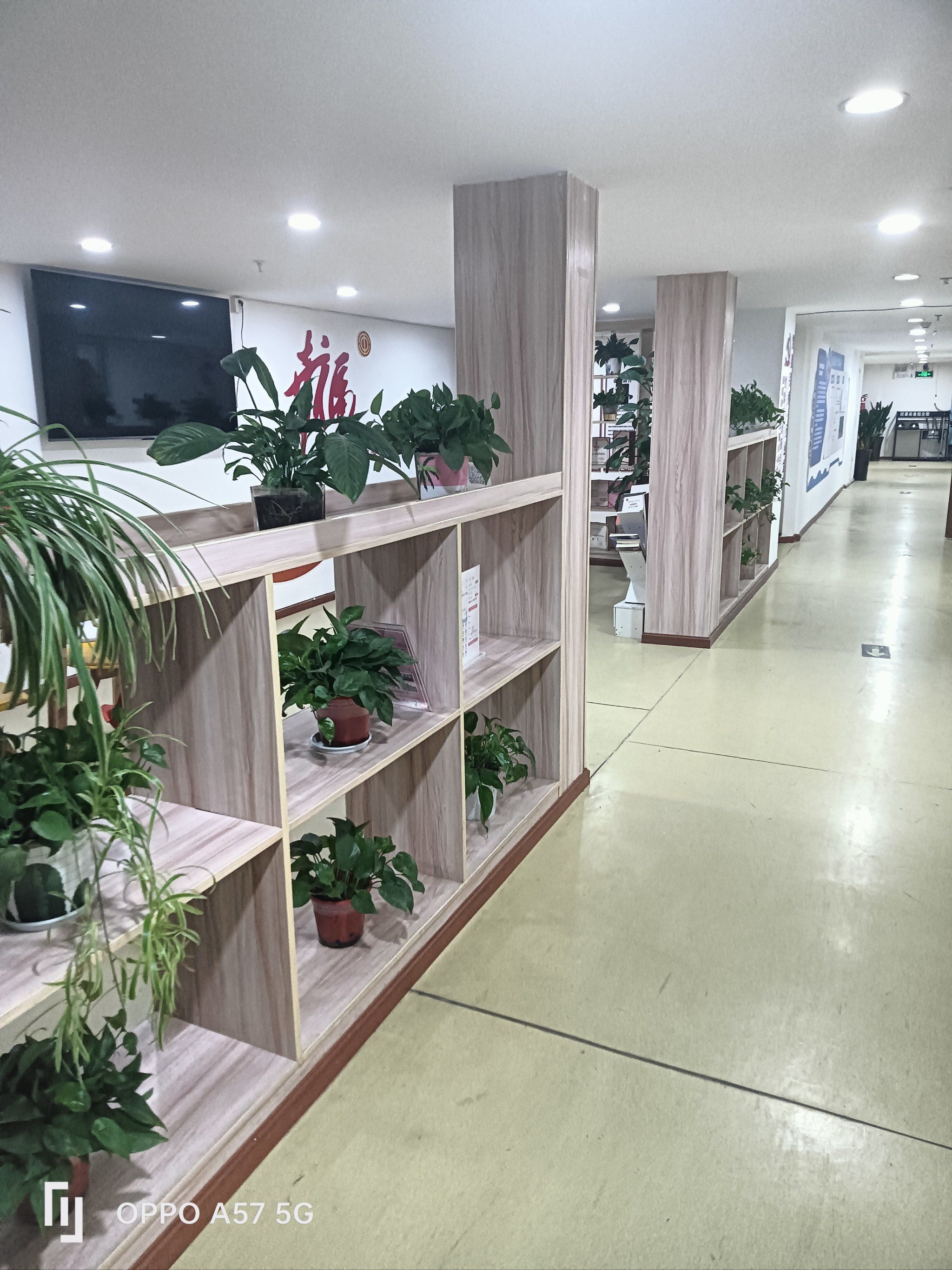 推荐一家专业的家政公司,美新家政
