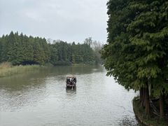 -溱湖国家湿地公园