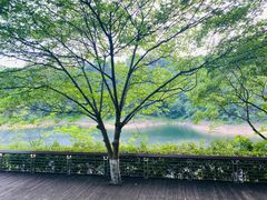 -千岛湖忆湖度假酒店(中心湖景区店)