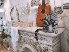 -共舞时光猫咖·狗咖(新街口店)