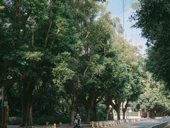 -四海公园(南山区)