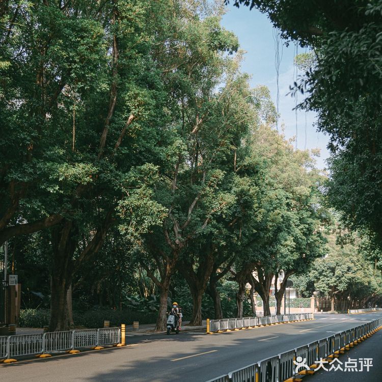 扫街日记📸•深圳蛇口人的青春| 四海公园💚