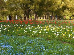 -上海共青森林公园