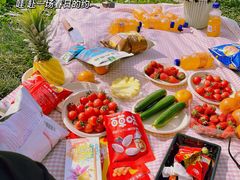 -汉长安城未央宫国家考古遗址公园