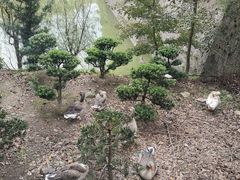 -宁波市保国寺古建筑博物馆