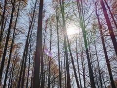 -山王坪喀斯特国家生态公园