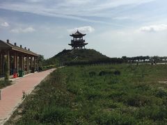 -南大港湿地风景区