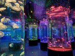 -南昌融创海世界