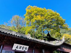 -韬光茶庵