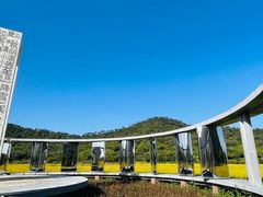 -风云岭森林公园