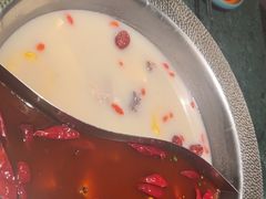 -麻田会 ·鲜活现烹·牛蛙火锅(珠江新城维家思广场店)