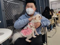 -怪兽屋·羊驼·猫咖·狗咖(俊华广场店)