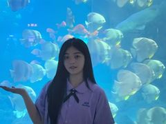 -福州罗源湾海洋世界旅游区