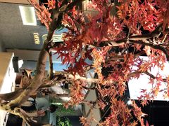 -滇色蒸汽石锅鱼(京华城店)
