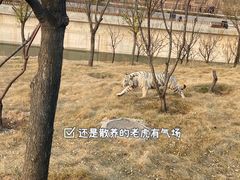-太原动物园