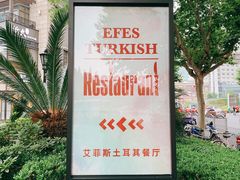 -Efes Turkish & Mediterranean Cuisine 艾菲斯餐厅(陆家嘴店)