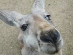 -泉州海丝野生动物世界