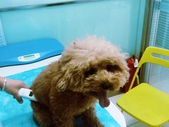 -纳吉亚猫专科动物医院博雅分院