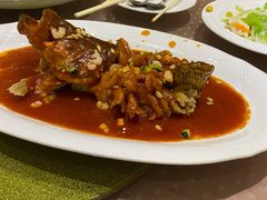 松鼠桂鱼-北门饭店(三香路店)