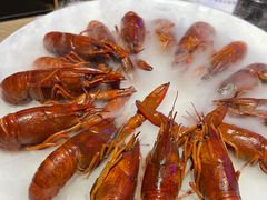 -红盔甲·小龙虾(车公庙店)