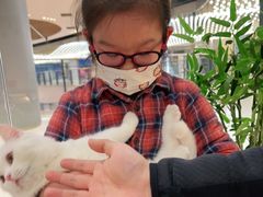-COLOR PETS 撸猫馆·购猫·猫咖(长风大悦城店)