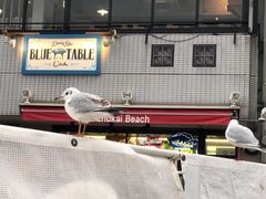 -台场海滨公园船码头