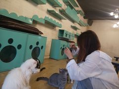 -萌喵咖啡屋(人民东路4号口M16商铺店)