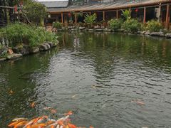 -大门水乡·顺德菜