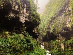 -鹿院坪生态旅游景区
