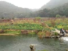 -广州市石门国家森林公园