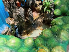 -东椰·海南椰子鸡火锅(朝阳门店)