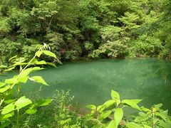 -尧治河旅游度假区