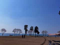 -漕湖湿地公园