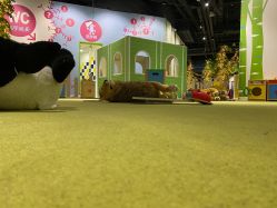 -幻贝家儿童乐园(苏州中心店)