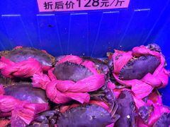 -青蓬蒸汽海鲜·深圳老字号·团建聚会(壹方城店)