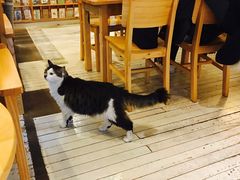 -猫的天空之城概念书店(苏州平江店)